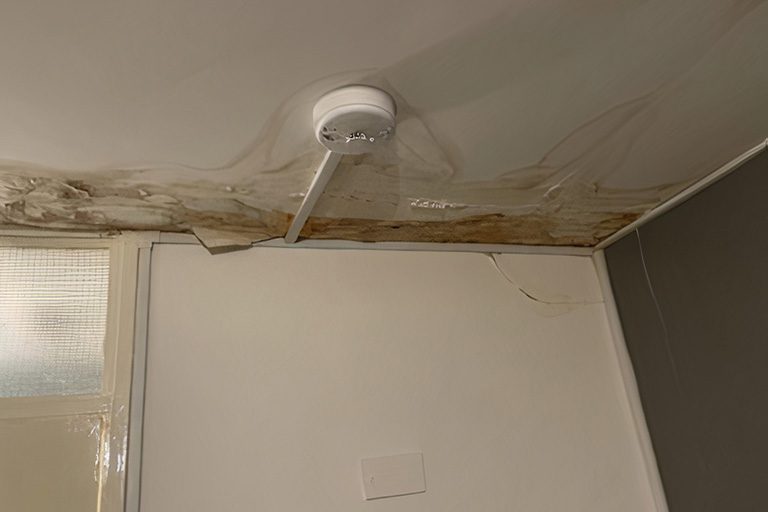 Housing Disrepair Leaks