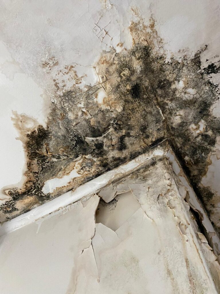 Housing_Disrepair_Claims_Landlords_Nicholson_Jones_Sutton_Solicitors