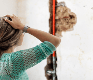 Housing Disrepair Claims