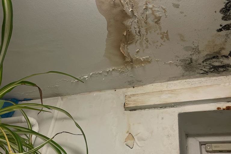 Housing_Disrepairs_Leaks