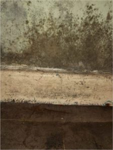 Council Disrepair