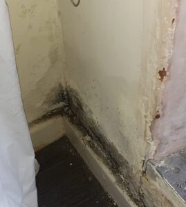 Council Landlord Ignoring Your Disrepair