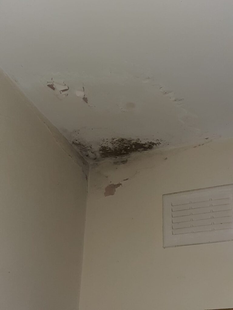 Housing Disrepair Claim Guide