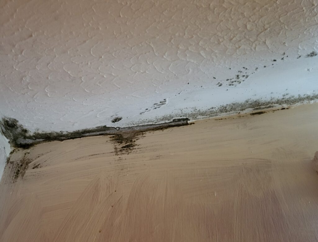 Recent Developments In Tackling Damp And Mould In Social Housing