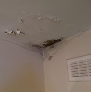 The Regulator of Social Housing concluded that Haringey Council breached its consumer standards
