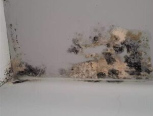 Southern Housing tenant awarded £7,500 in compensation after living with damaged roof, water damage and damp.
