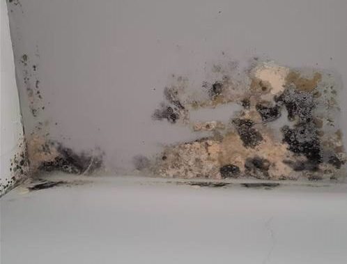 Southern Housing tenant awarded £7,500 in compensation after living with damaged roof, water damage and damp.