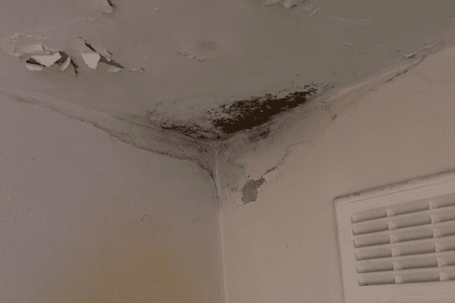 Housing Disrepair Claims Increase