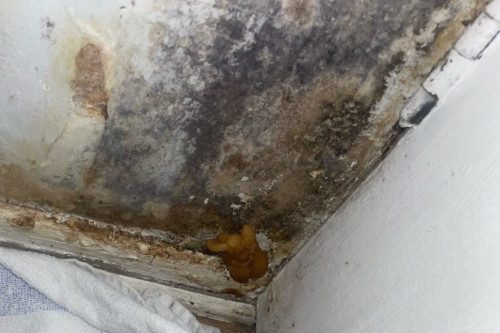 Housing-Repair-Breach-Claim