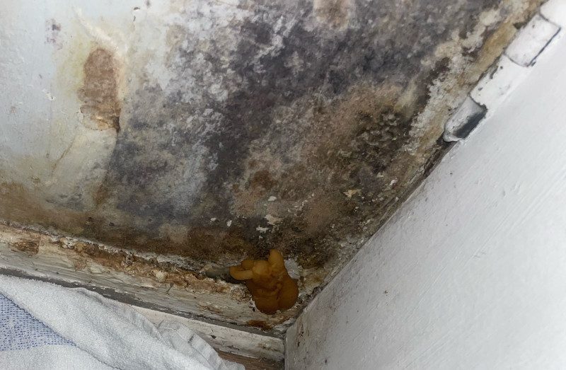 Housing Repair Breach Claim
