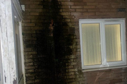 damp_mould_disrepair