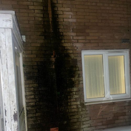 Damp & Mould Disrepair