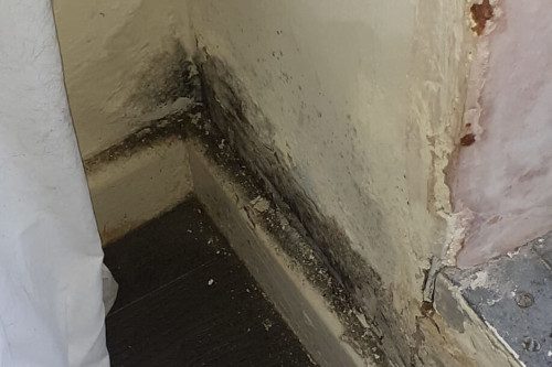 fitness_for_human_habitation