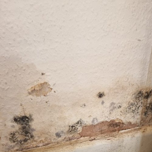 social_Housing_Disrepair